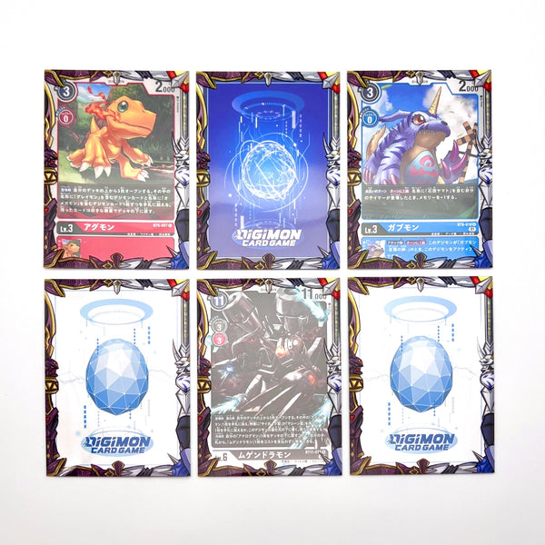 Alpha & Omega Border Oversleeves