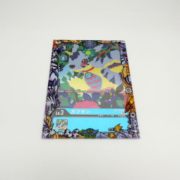 Friendship Printed Border Oversleeves
