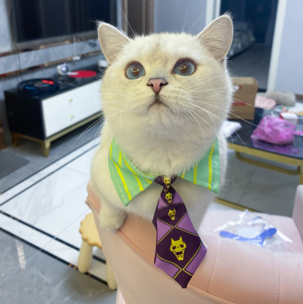 JoJo's Bizarre Adventure Pet Cosplay Costume Various Designs