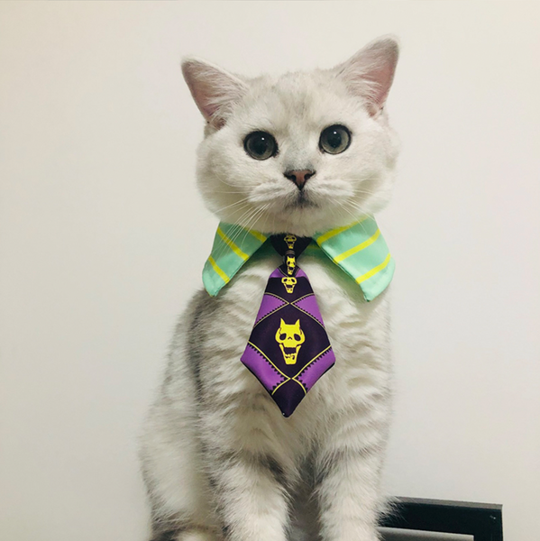 JoJo's Bizarre Adventure Pet Cosplay Costume Various Designs
