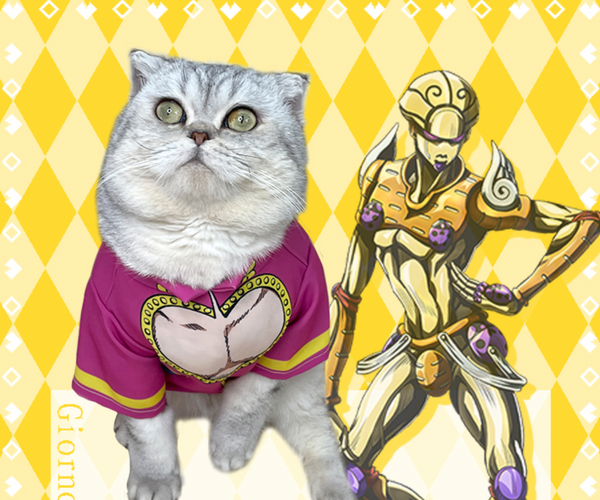 JoJo's Bizarre Adventure Pet Cosplay Costume Various Designs
